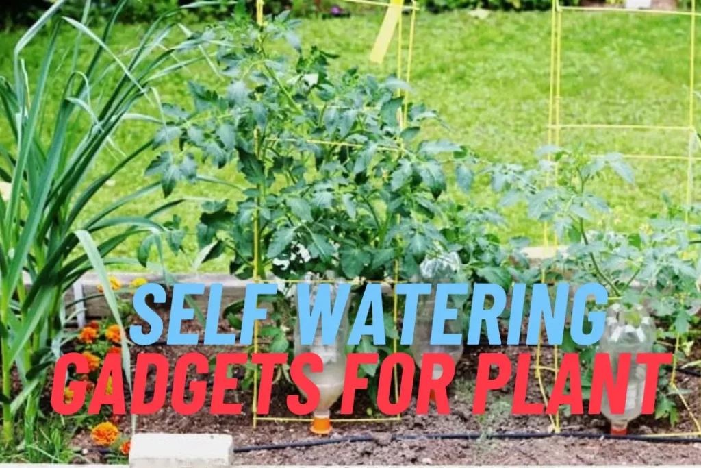 Self-Watering Gadgets for Plants