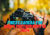 Finest Camera For Bird's Photography in 2024