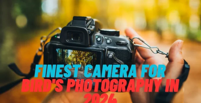 Finest Camera For Bird's Photography in 2024